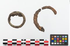 Foto von Bronzering (NHMW-PRAE-023888)